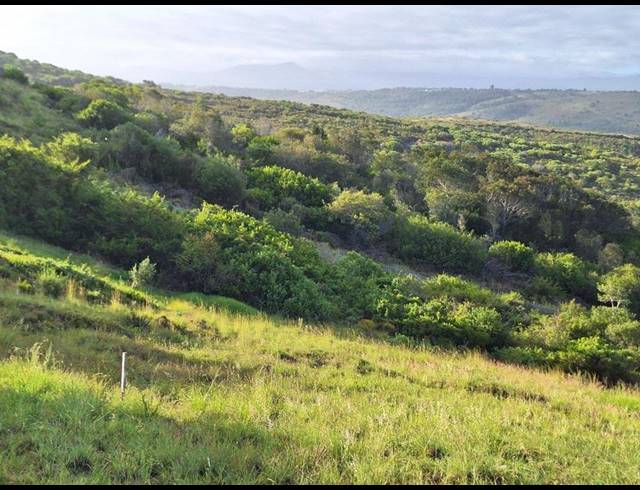 LAND FOR SALE IN AVONDDANS